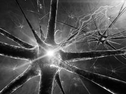 Neuronennetzwerk